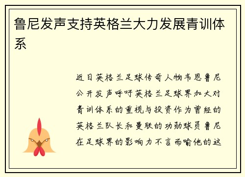鲁尼发声支持英格兰大力发展青训体系