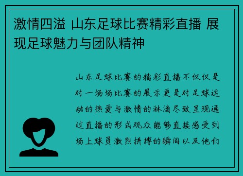 激情四溢 山东足球比赛精彩直播 展现足球魅力与团队精神