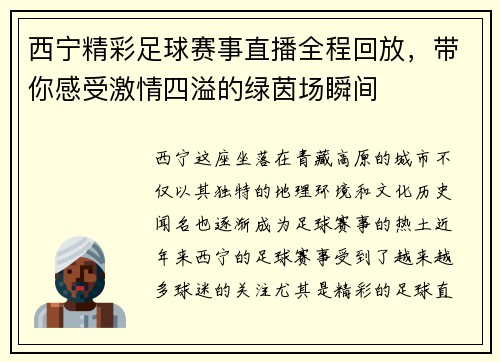 西宁精彩足球赛事直播全程回放,带你感受激情四溢的绿茵场瞬间